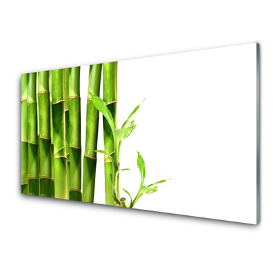 Kuchyňský skleněný panel Bambus Rostlina