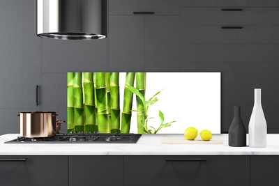 Kuchyňský skleněný panel Bambus Rostlina