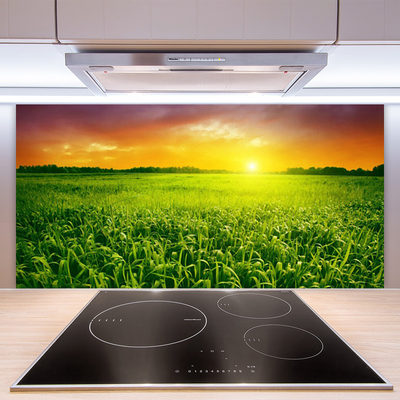 Kuchyňský skleněný panel Obilí Pole Východ Slunce