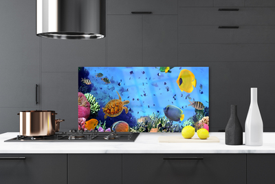 Kuchyňský skleněný panel Korálový Útes Ryba Příroda