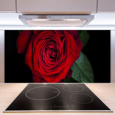 Kuchyňský skleněný panel Růže