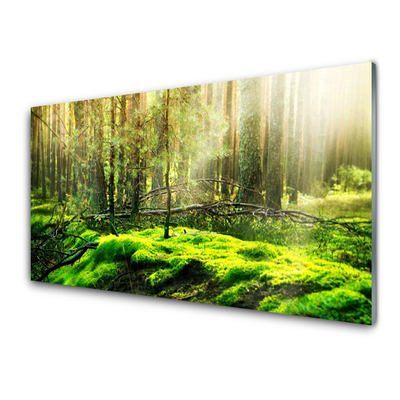Kuchyňský skleněný panel Mech Les Příroda