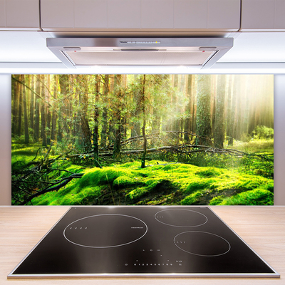 Kuchyňský skleněný panel Mech Les Příroda