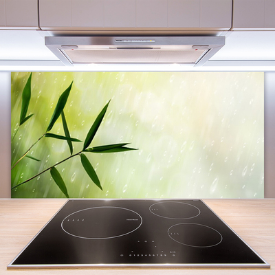 Kuchyňský skleněný panel Listy Déšť