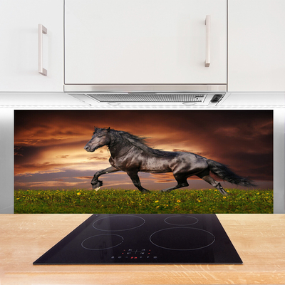 Kuchyňský skleněný panel Černý Kůň Louka Zvířata