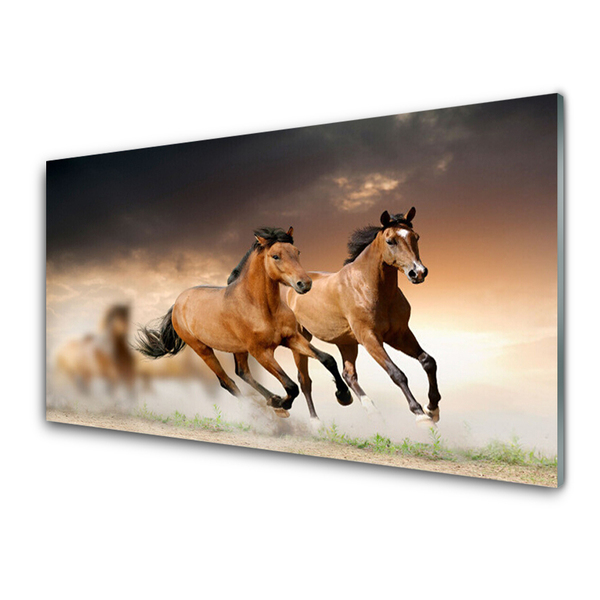 Kuchyňský skleněný panel Koně Zvířata