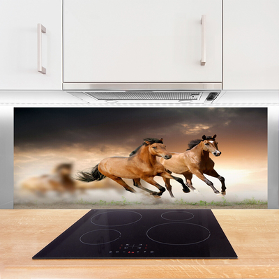 Kuchyňský skleněný panel Koně Zvířata