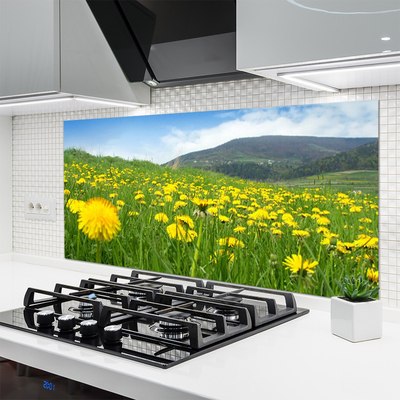 Kuchyňský skleněný panel Pampeliška Příroda