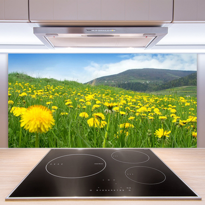 Kuchyňský skleněný panel Pampeliška Příroda