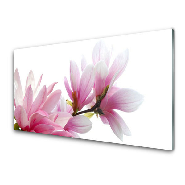 Kuchyňský skleněný panel Magnolie Květ