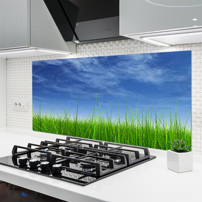 Kuchyňský skleněný panel Nebe Tráva Příroda