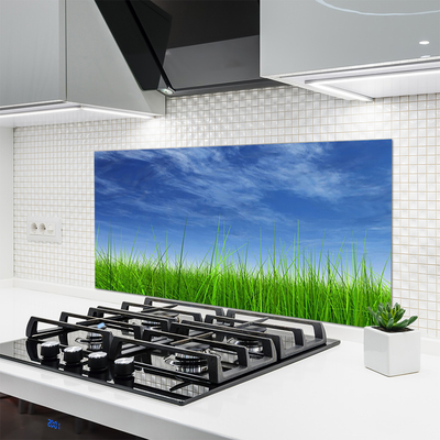 Kuchyňský skleněný panel Nebe Tráva Příroda