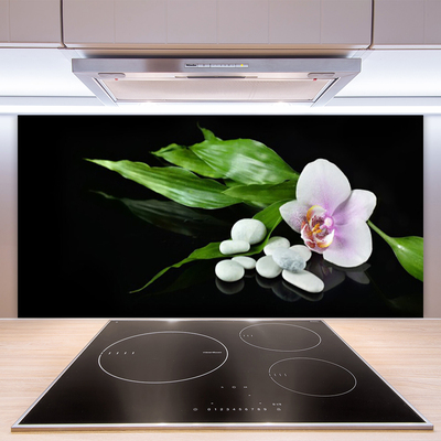 Kuchyňský skleněný panel Květ Kameny Listí