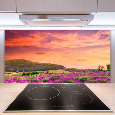 Kuchyňský skleněný panel Louka Květiny Krajina