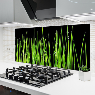 Kuchyňský skleněný panel Plevel