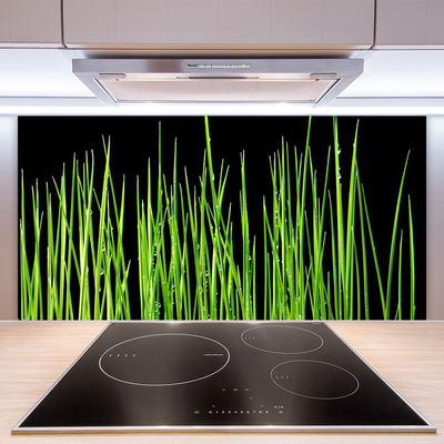 Kuchyňský skleněný panel Plevel