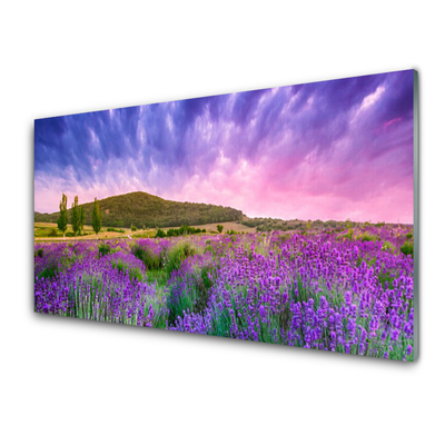 Kuchyňský skleněný panel Louka Květiny Hory Příroda