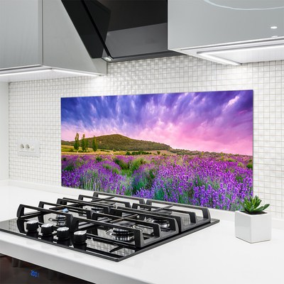 Kuchyňský skleněný panel Louka Květiny Hory Příroda