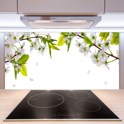 Kuchyňský skleněný panel Plátky Příroda