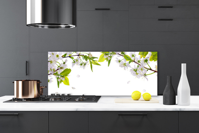 Kuchyňský skleněný panel Plátky Příroda