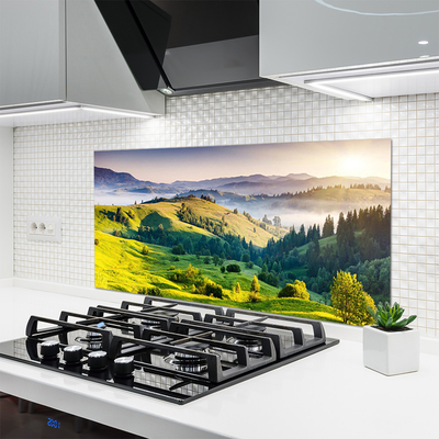 Kuchyňský skleněný panel Hora Pole Mlha Příroda