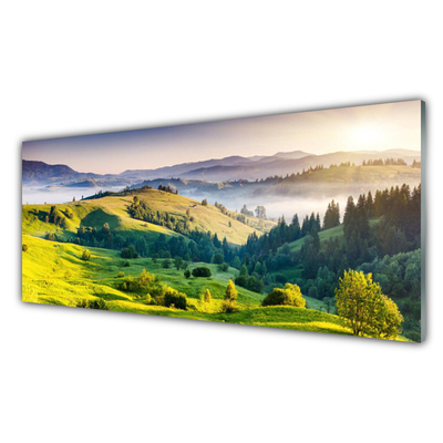 Kuchyňský skleněný panel Hora Pole Mlha Příroda