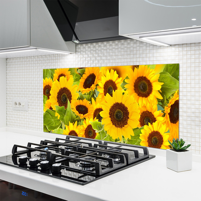 Kuchyňský skleněný panel Slunečnice