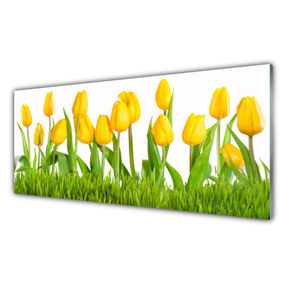 Kuchyňský skleněný panel Tulipány