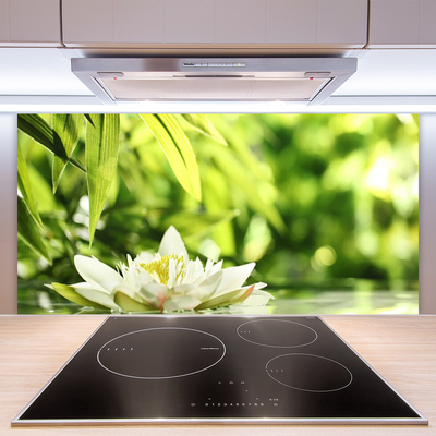 Kuchyňský skleněný panel Květ Listy