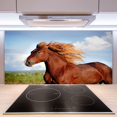 Kuchyňský skleněný panel Kůň Zvířata