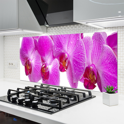 Kuchyňský skleněný panel Květiny Rostlina Příroda