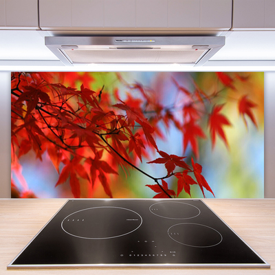 Kuchyňský skleněný panel Listy Příroda