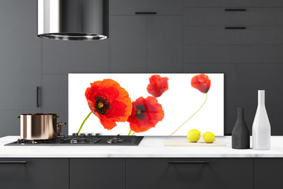 Kuchyňský skleněný panel Květiny Rostlina