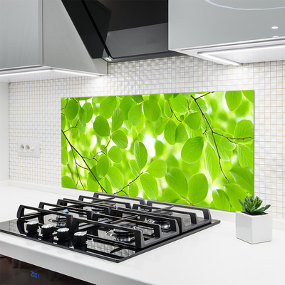 Kuchyňský skleněný panel Listy Příroda
