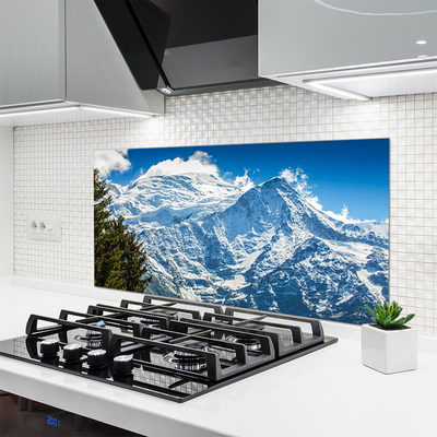 Kuchyňský skleněný panel Hora Strom Krajina