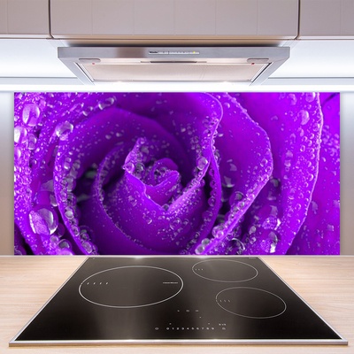 Kuchyňský skleněný panel Růže Květ