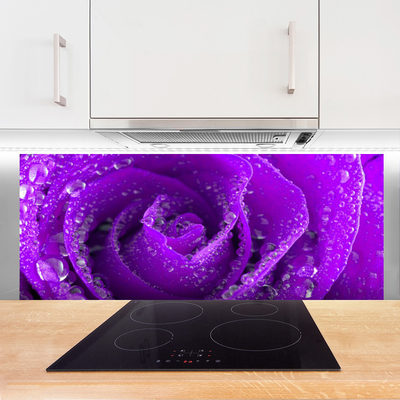 Kuchyňský skleněný panel Růže Květ