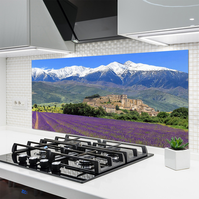 Kuchyňský skleněný panel Louka Květiny Hory Krajina