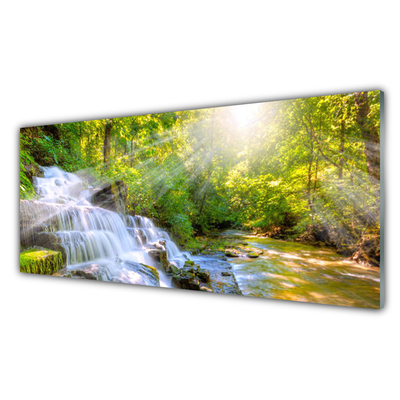 Kuchyňský skleněný panel Vodopád Les Příroda
