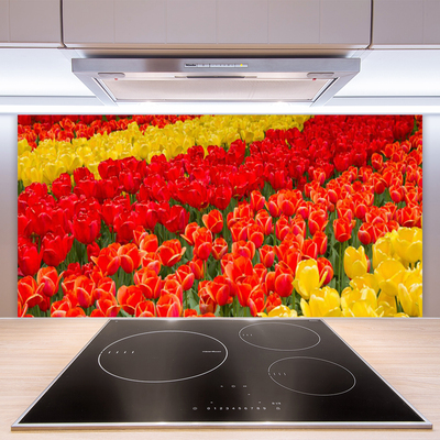 Kuchyňský skleněný panel Tulipány Květiny