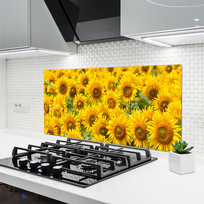 Kuchyňský skleněný panel Slunecznice Rostlina