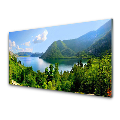 Kuchyňský skleněný panel Les Jezero Hory Krajina
