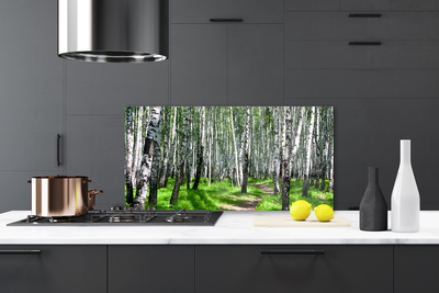Kuchyňský skleněný panel Stromy Tráva Příroda