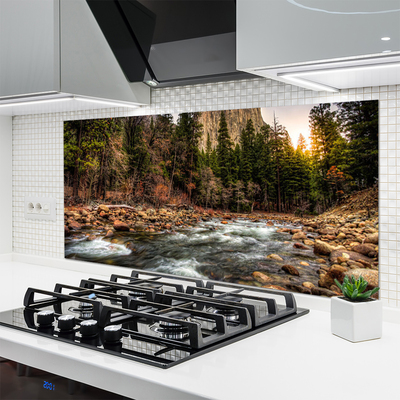 Kuchyňský skleněný panel Les Jezero Příroda