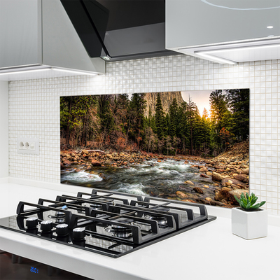 Kuchyňský skleněný panel Les Jezero Příroda