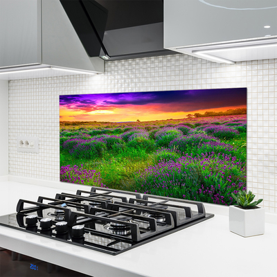 Kuchyňský skleněný panel Louka Příroda