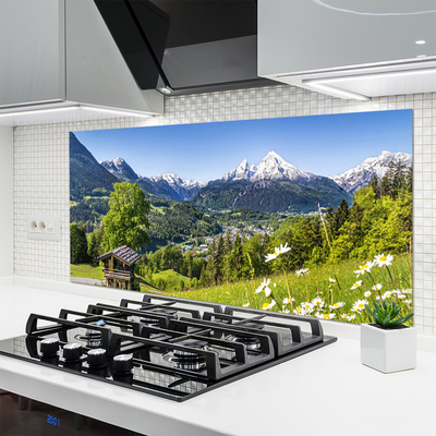 Kuchyňský skleněný panel Hora Pole Příroda