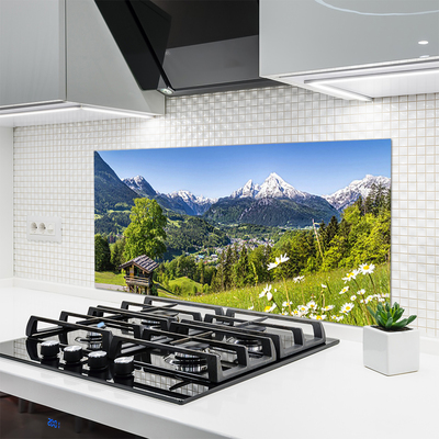 Kuchyňský skleněný panel Hora Pole Příroda