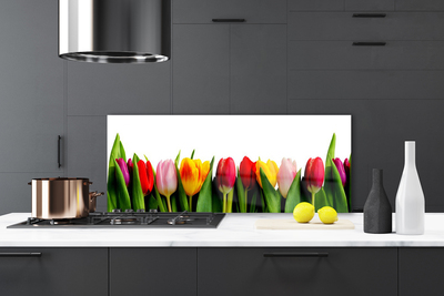 Kuchyňský skleněný panel Tulipány Rostlina