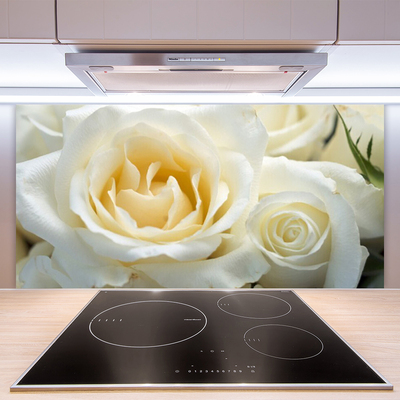 Kuchyňský skleněný panel Růže Květiny